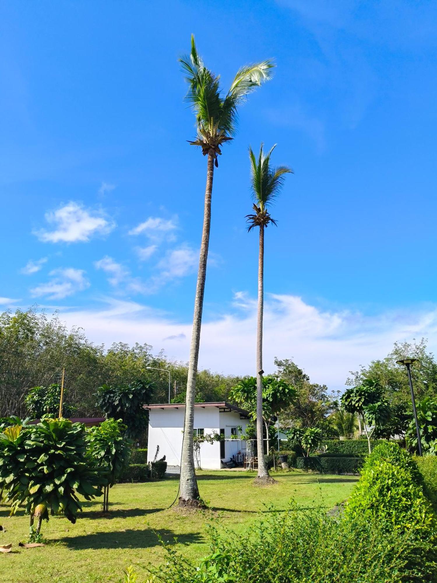 The Lodge At Koh Kood Ko Kut Zewnętrze zdjęcie