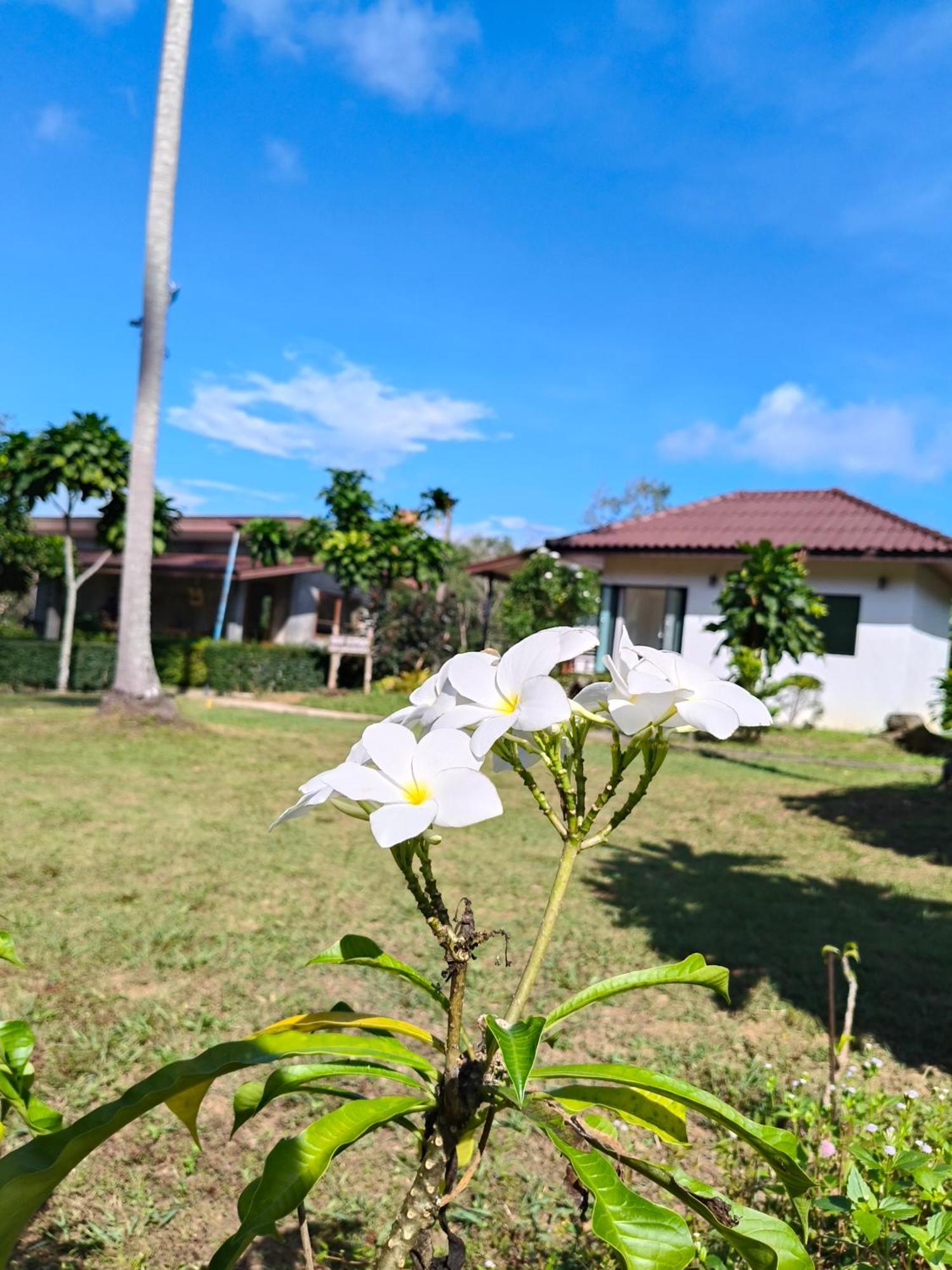 The Lodge At Koh Kood Ko Kut Zewnętrze zdjęcie